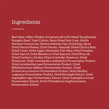 Nature's Logic Canine Beef Meal Feast - Natural Dog Food