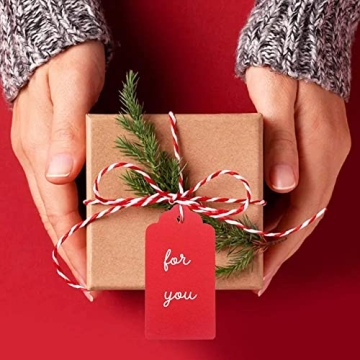 G2PLUS 100PCS Red Gift Tags for Every Occasion
