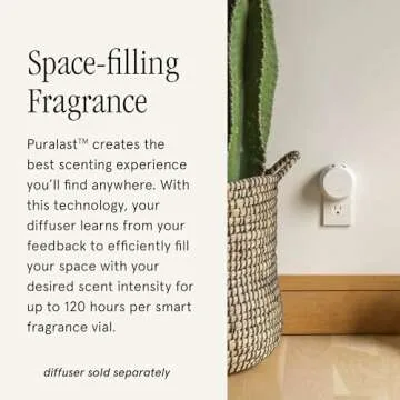 Pura Smart Home Air Diffuser Fragrance - Smart Home Scent Refill - Up to 120-Hours of Premium Fragrance per Refill - Clean Diffuser for Office & Apartment - 2 Pack, Cinnamon Woods