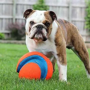 Chuckit! Kick Fetch Ball Dog Toy - Floats in Water - Perfect for Interactive Play - Made with Durabl...