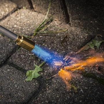 Bernzomatic Standard Propane Fuel Cylinder Portable & Versatile