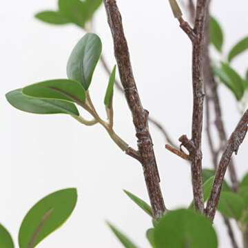 JAROWN Faux Greenery Tree Branches for Home Decor 4pcs