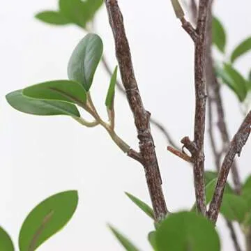 JAROWN Faux Greenery Tree Branches for Home Decor 4pcs