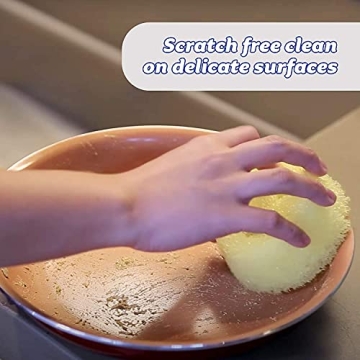 Scrub Daddy Grey Sponge - Scratch-Free & Odor Resistant