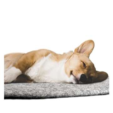 Creature ECO Handmade Wool Dog Bed - Dog Beds for Large Dogs - Pet Lounger for All Breeds- Washable Dog Crate Mate with Attractive Design & Ultra-Soft Wool Material - Natural Grey