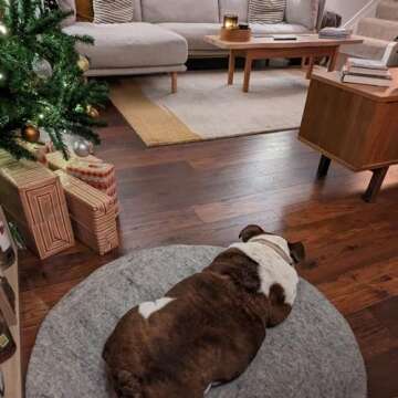 Creature ECO Handmade Wool Dog Bed - Dog Beds for Large Dogs - Pet Lounger for All Breeds- Washable Dog Crate Mate with Attractive Design & Ultra-Soft Wool Material - Natural Grey