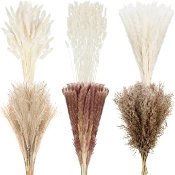 184 Pcs Wedding Natural Pampas Grass Bouquet Decor Long Lasting Dried Flowers Bouquet White Pompous ...