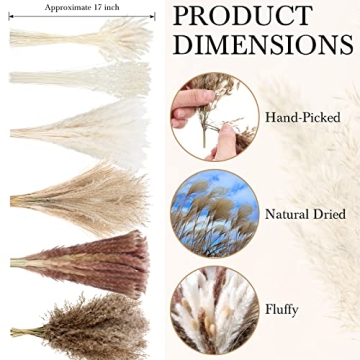 184 Pcs Pampas Grass for Wedding Decor & Home Arrangements