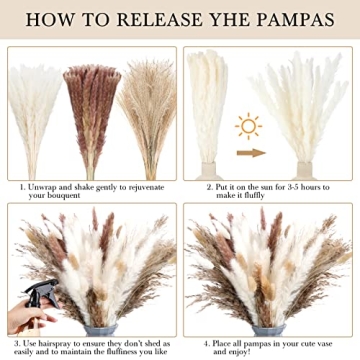 184 Pcs Pampas Grass for Wedding Decor & Home Arrangements