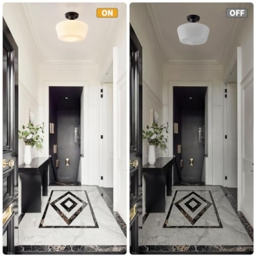 youngrender Black Schoolhouse Light Fixture - Unique Ceiling Light