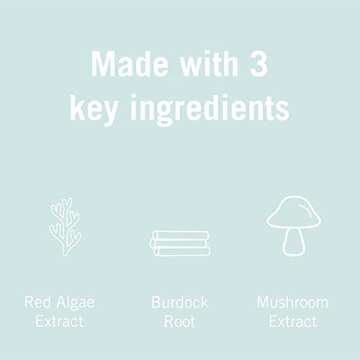 Karuna Skin - Renewal+ Eye Mask, Under Eye Patches for Tired Eyes, Beneath-the- Eye Patch with Burdock Root & Mushroom Extract, Under Eye Patches for Puffy Eyes & Fine Lines, 4 Patches per Pack