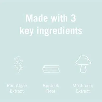 Karuna Skin - Renewal+ Eye Mask, Under Eye Patches for Tired Eyes, Beneath-the- Eye Patch with Burdock Root & Mushroom Extract, Under Eye Patches for Puffy Eyes & Fine Lines, 4 Patches per Pack