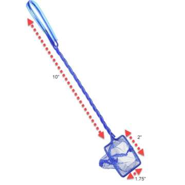 Penn-Plax QN2 Quick Net for Fish – 2” x 1.75” | Strong and Durable | Safely and Easily Move Small Fish and Decorations and Keep Your Aquarium Clean (Color May Vary - Blue or Green)