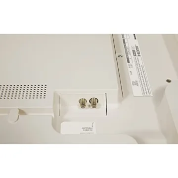 LG 48-Inch Class OLED Objet Collection Posé Series Smart TV 48LX1QPUA.AUS, 2022 - AI-Powered 4K TV, Alexa Built-in