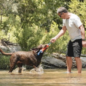 Chuckit! Rugged Bumper Dog Toy for Fetching Fun