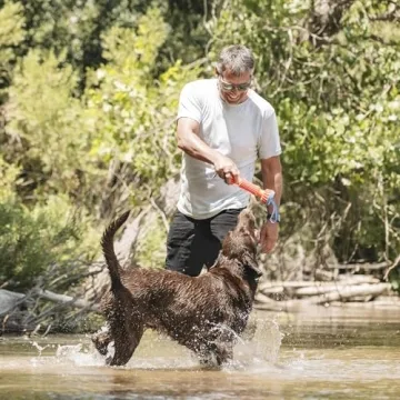 Chuckit! Rugged Bumper Dog Toy for Fetching Fun
