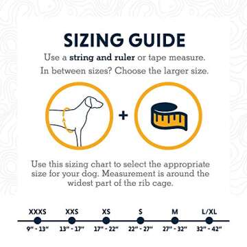 Ruffwear, Hi & Light, Everyday Lightweight Dog Harness, Trail Running, Walking, Hiking, All-Day Wear, Blue Atoll, X-Small