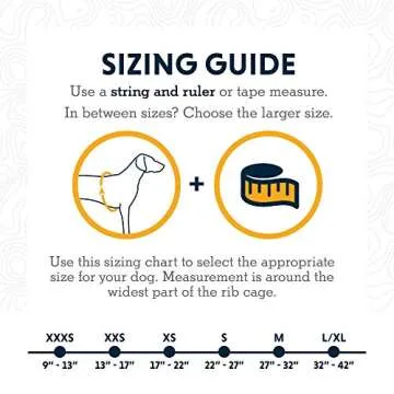 Ruffwear, Hi & Light, Everyday Lightweight Dog Harness, Trail Running, Walking, Hiking, All-Day Wear, Blue Atoll, X-Small