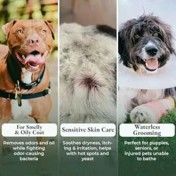 Dry Shampoo for Dogs - Allergy Relief & Itchy Skin Care