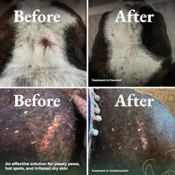 Dry Shampoo for Dogs - Allergy Relief & Itchy Skin Care