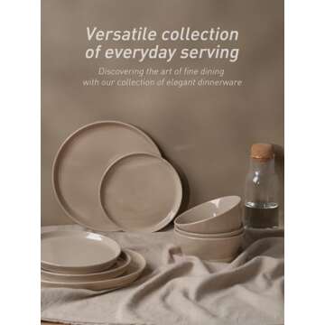 Famiware Saturn Dinnerware Sets, 12 Pieces Dish Set, Plates and Bowls Sets for 4, Cinnamon Brown