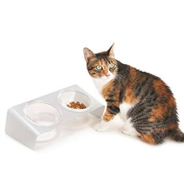 4CLAWS Elevated Cat Feeder with Glass Bowls