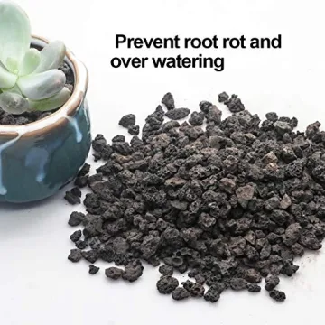 TOYPOPOR Black Lava Rock Soil Additive for Plants