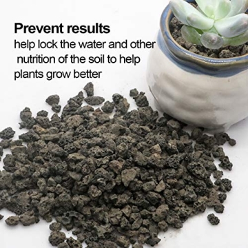 TOYPOPOR Black Lava Rock Soil Additive for Plants