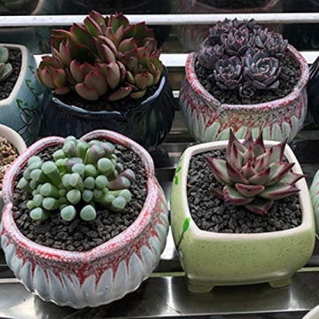 TOYPOPOR Black Lava Rock Soil Additive for Plants