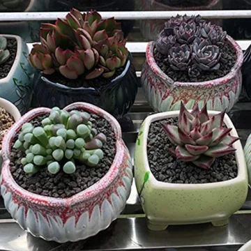 TOYPOPOR Black Lava Rock Soil Additive for Plants