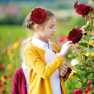 inSowni 20 Pack Vintage Retro 10cm / 4" Rose Flower Alligator Hair Clips Lined Duckbill Barrettes Silk Hair Flowers Bow Mexican Floral Hair Pins Accessories for Baby Girls Toddlers Kids Teens Women