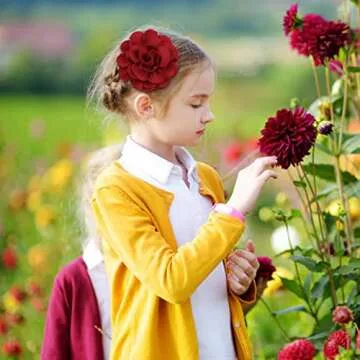 inSowni 20 Pack Vintage Retro 10cm / 4" Rose Flower Alligator Hair Clips Lined Duckbill Barrettes Silk Hair Flowers Bow Mexican Floral Hair Pins Accessories for Baby Girls Toddlers Kids Teens Women