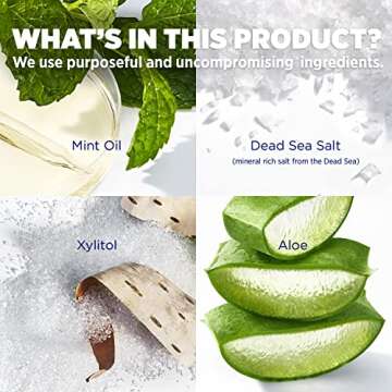 Lumineux Complete Care Mouthwash 16 Oz. 2 Pack - Fresh Breath in 14 Days - Fluoride Free, NO Alcohol, Artificial Colors, SLS Free, Dentist Formulated