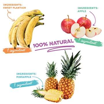 Baked Fruit Snack Pack by GOOD CHIPS. Pineapple, Sweet Plantain Banana and Apple Chips. Oil Free, Vegan, Non-Gmo, Variety Pack of 6