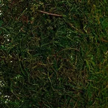 Byher Dried Moss Table Runner for Any Occasion