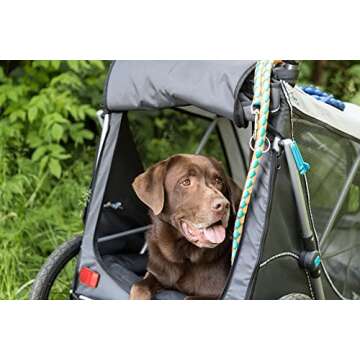 TRIXIE Quick-Fold Convertible Dog Bike Trailer, Carrier for Medium Dogs up to 66 lbs, Quick Set-up and Fold Down, Easily Converts to Pet Stroller