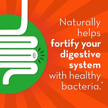 Align Gut Health & Immunity Probiotic for Wellness