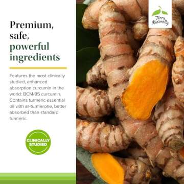 Terry Naturally Curamin - Curcumin Supplement for Circulation & Endorphin Support - Support for Occasional Discomfort - Aids Healthy Muscles - 60 Capsules