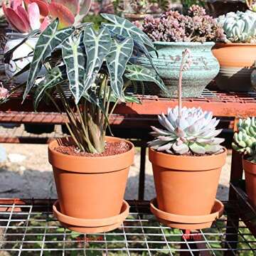 Yishang Large Terra Cotta Pots with Drainage - Perfect for Your Plants