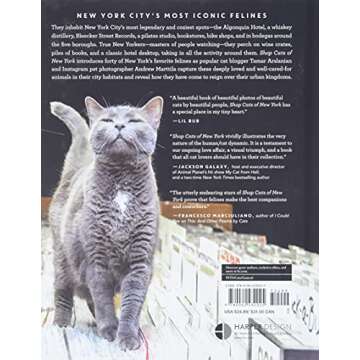 Shop Cats of New York