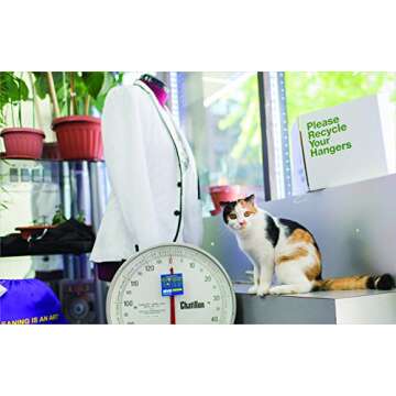 Shop Cats of New York