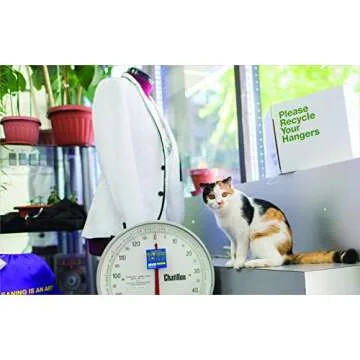 Shop Cats of New York