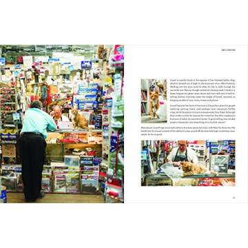 Shop Cats of New York