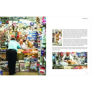 Shop Cats of New York