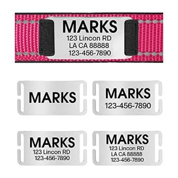 Joytale Personalized Reflective Dog Collar for Large Dogs