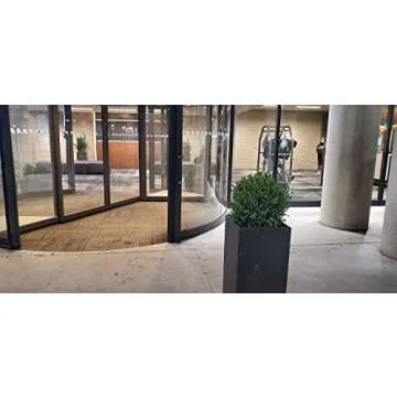 24" Tall 16” Round Artificial Topiary Ball Boxwood Trees (Set of 2) by Northwood Calliger | Highly Realistic Potted Shrubs for Indoor/Outdoor | UV Protected