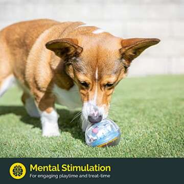 Pet Zone IQ Treat Ball Interactive Dog Ball - 3" Puzzle Treat Dispenser, Durable, Slow Feeder, for A...