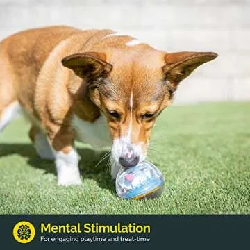 Pet Zone IQ Treat Ball Interactive Dog Ball - 3" Puzzle Treat Dispenser, Durable, Slow Feeder, for A...