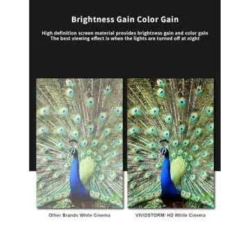 VIVIDSTORM 100-Inch Motorized Projection Screen for Home & Office