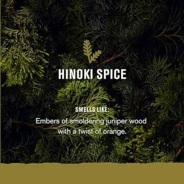 Every Man Jack Small Batch Beard Set - Hinoki Spice - Grooming Essentials